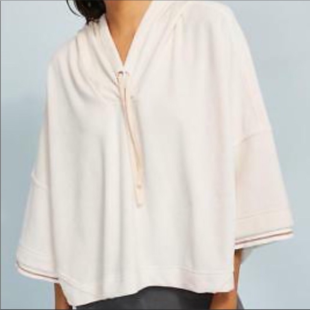Anthropologie Saturday Sunday Velour Crop Hoodie